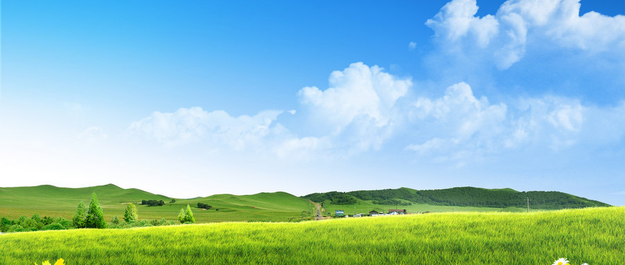 仙居學(xué)辦公軟件與計(jì)算機(jī)軟件開發(fā) 費(fèi)用、路徑與前景解析